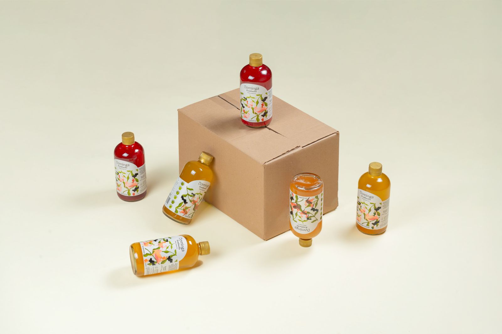 Paquetes de Domingas Kombucha