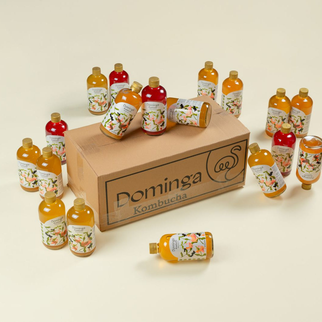 Paquetes de Domingas Kombucha