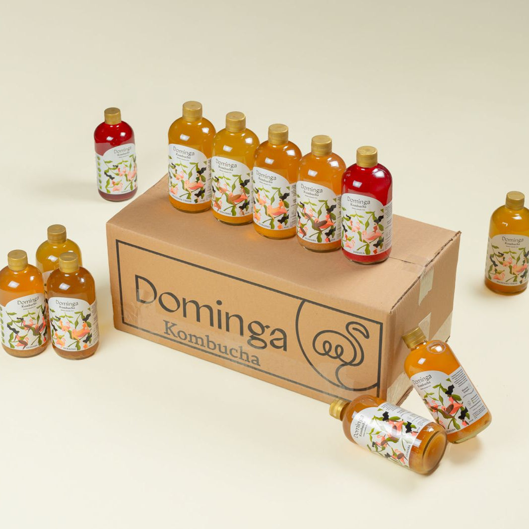 Paquetes de Domingas Kombucha