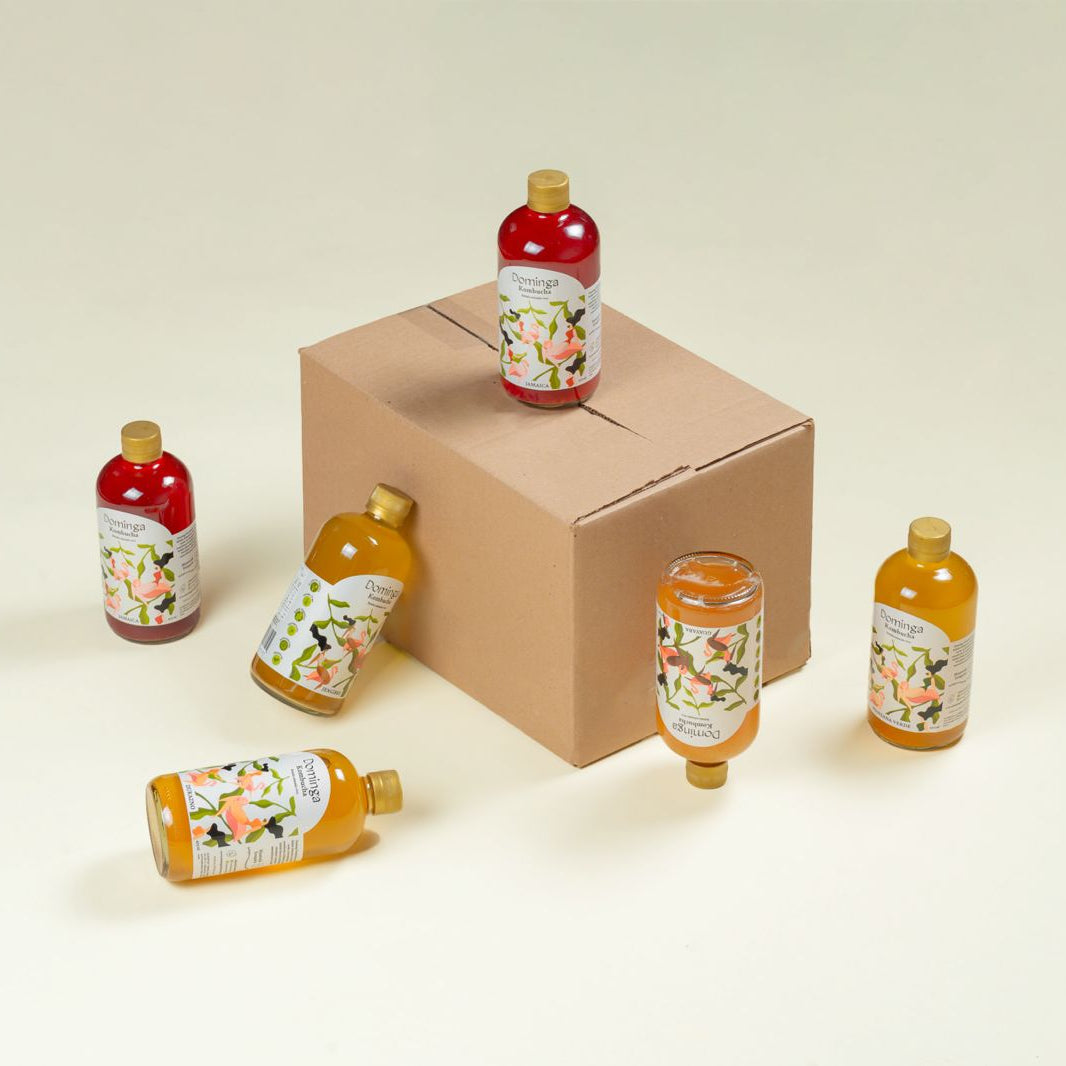 Paquetes de Domingas Kombucha